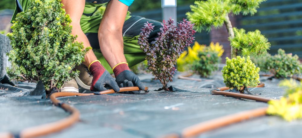 landscaping