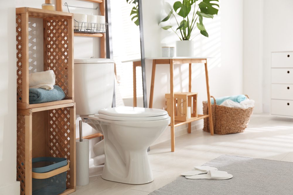 toilet