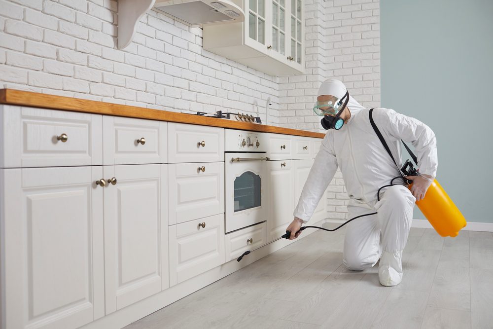 pest control
